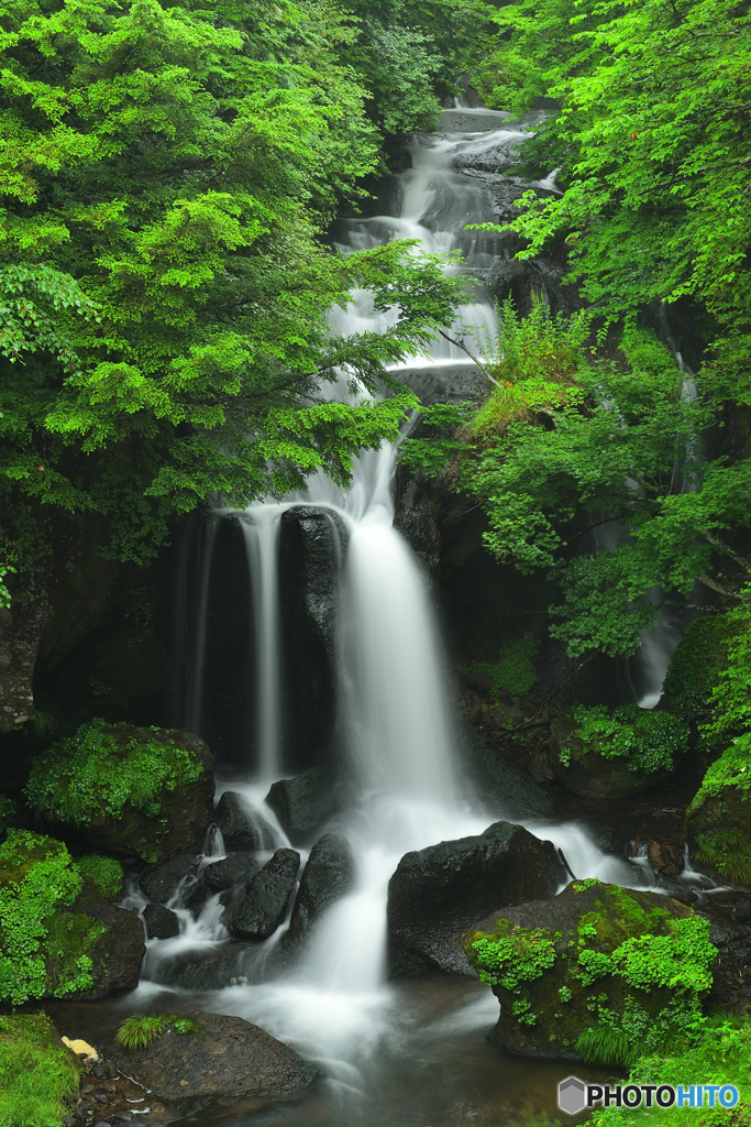 雨に蘇るⅡ