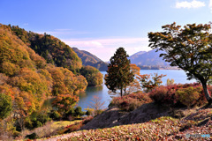 まったりとした湖畔の午後