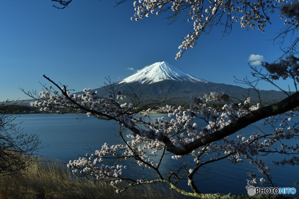 ベストな撮影地Ⅱ