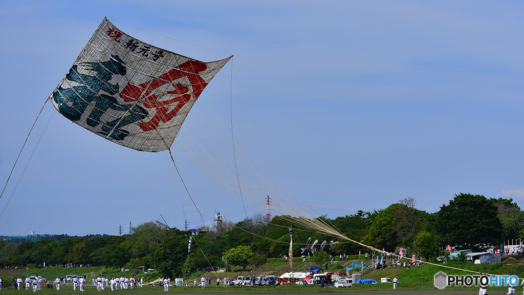 相模の大凧”令和”