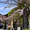 高尾山は葉桜に