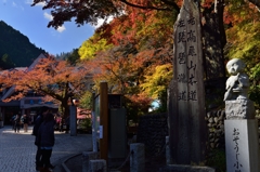 ”東京の高尾山も紅葉”