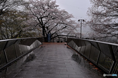 城址公園への橋