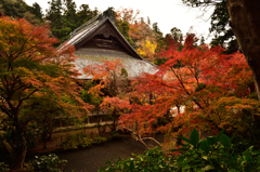 古都を偲ばせる渋い紅葉