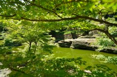 ”虎頭岩の池”