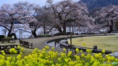 潤水の苑池