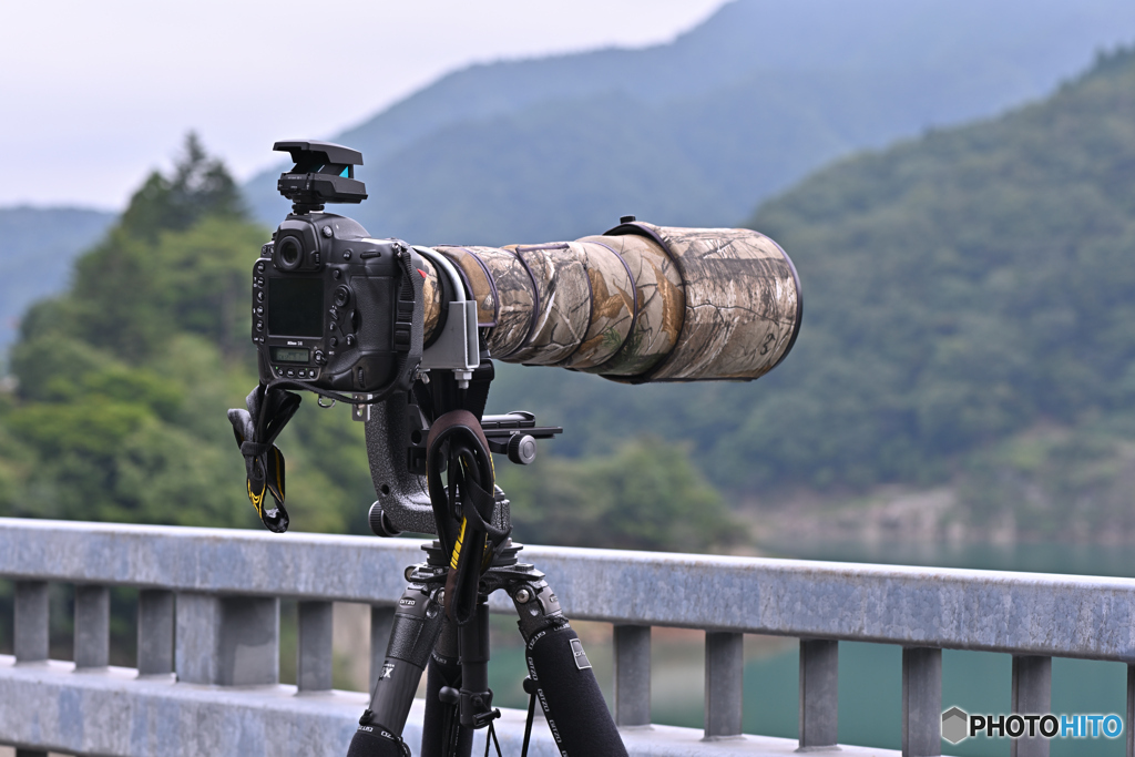 猛禽とヤマセミを狙うも