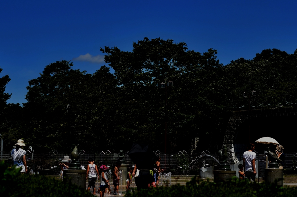 夏の公園‥暑！！