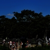 夏の公園‥暑！！