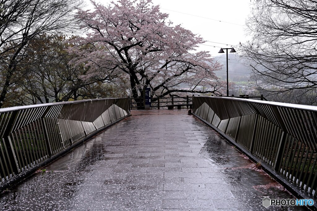 この橋を渡ると城址