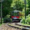 箱根あじさい電車
