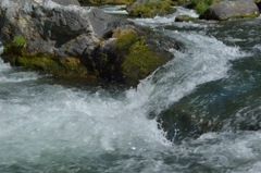 ”奥多摩渓流”