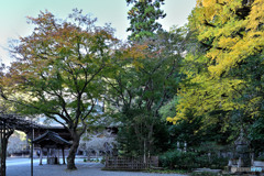 紅葉時期色々な鎌倉寺院