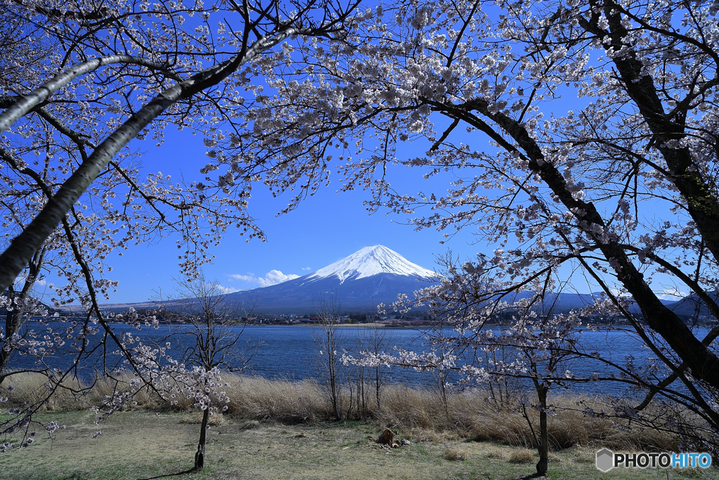 今頃はきっと（河口湖長崎Ⅱ）