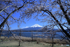 今頃はきっと（河口湖長崎Ⅱ）