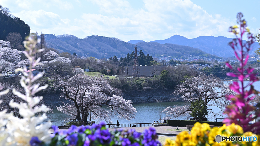 春うららな水の苑地