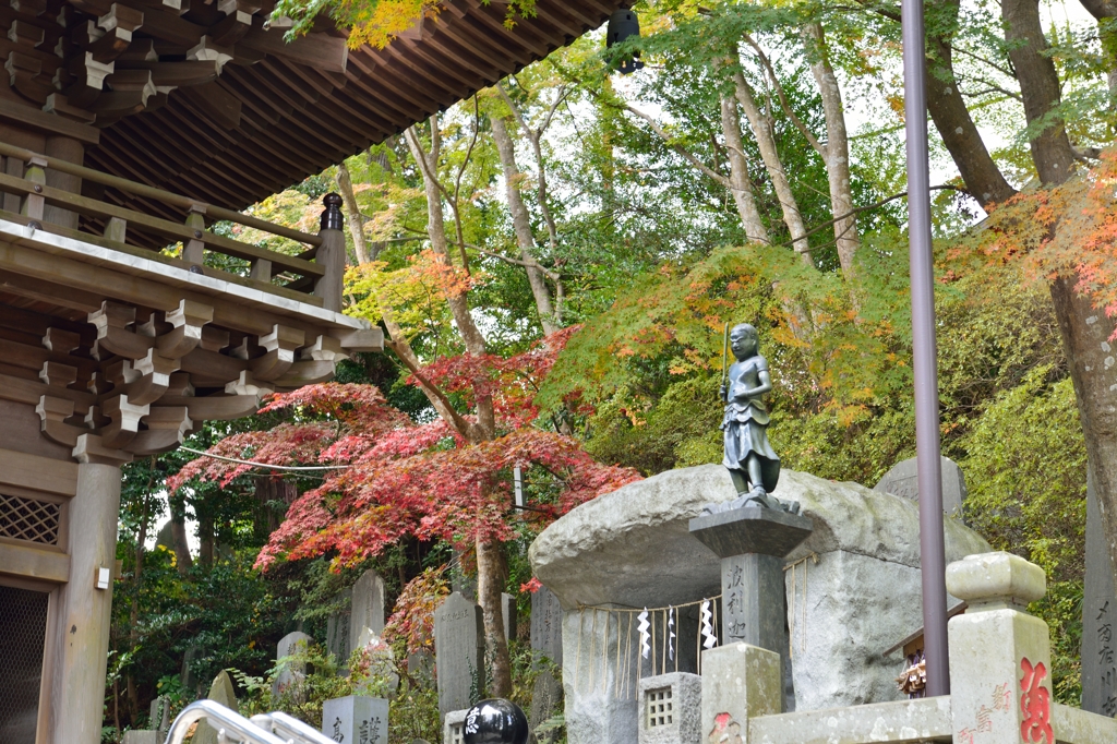 ”薬王院入口の仁王門の紅葉”(参考）