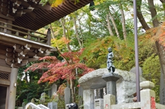 ”薬王院入口の仁王門の紅葉”(参考）