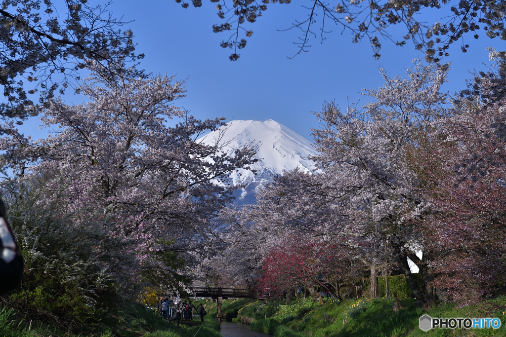 富士が迫る快晴