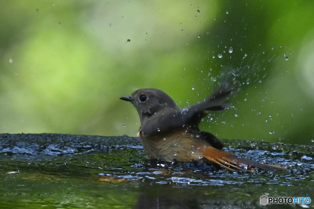 サッパリしたわ！