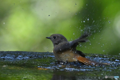 サッパリしたわ！