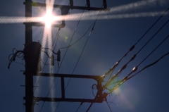 ”漲る太陽光パワー”