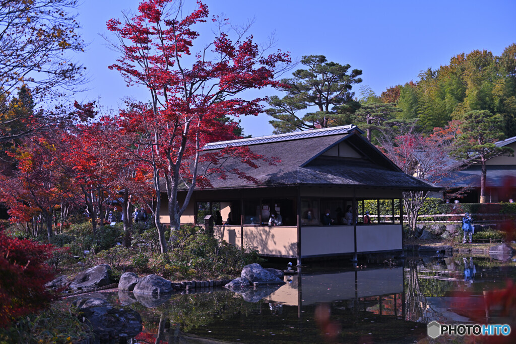 庭園の紅葉