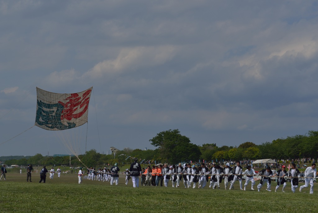 相模大凧（揚がる）
