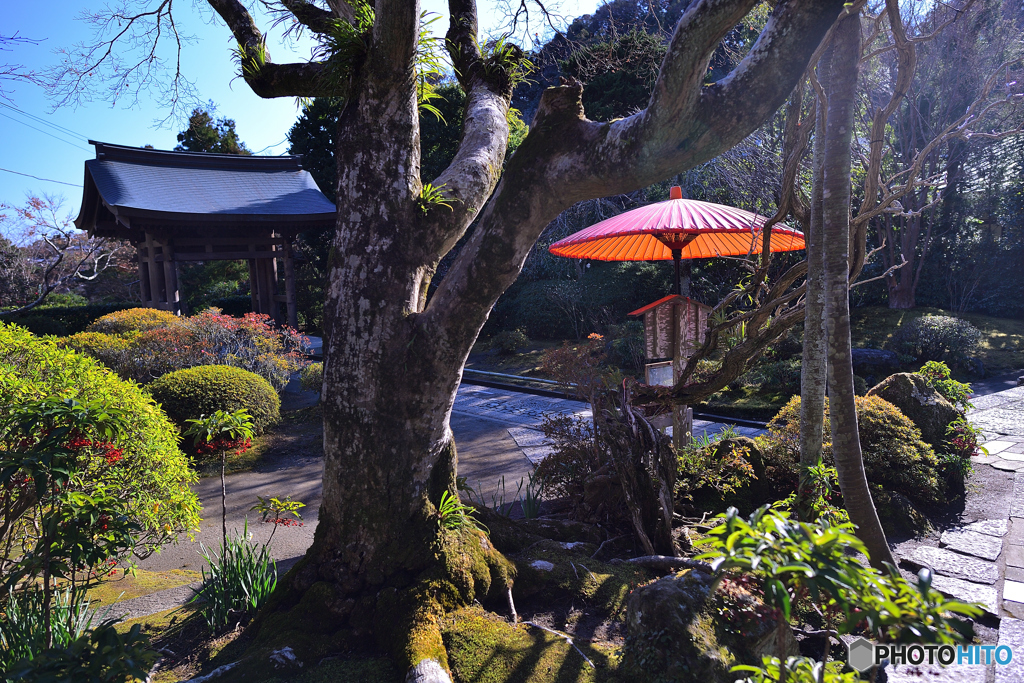 千客万来の海蔵寺