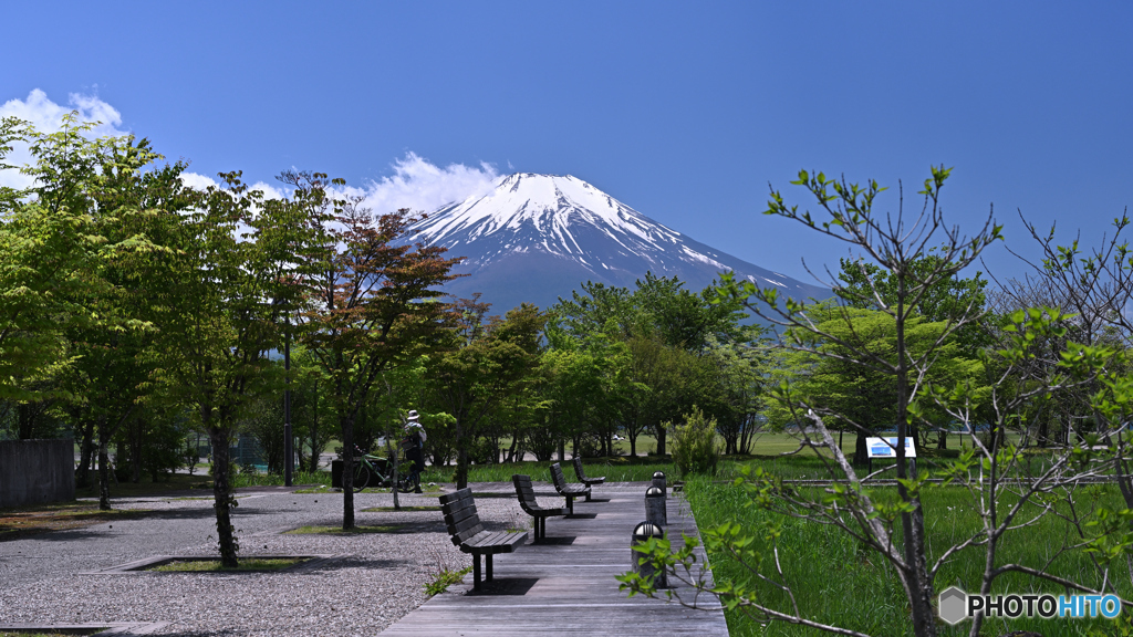 日陰が欲しい初夏のベンチ