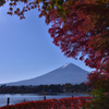 紅を切り撮る