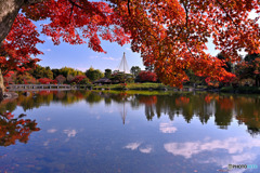 深紅の日本庭園Ⅱ