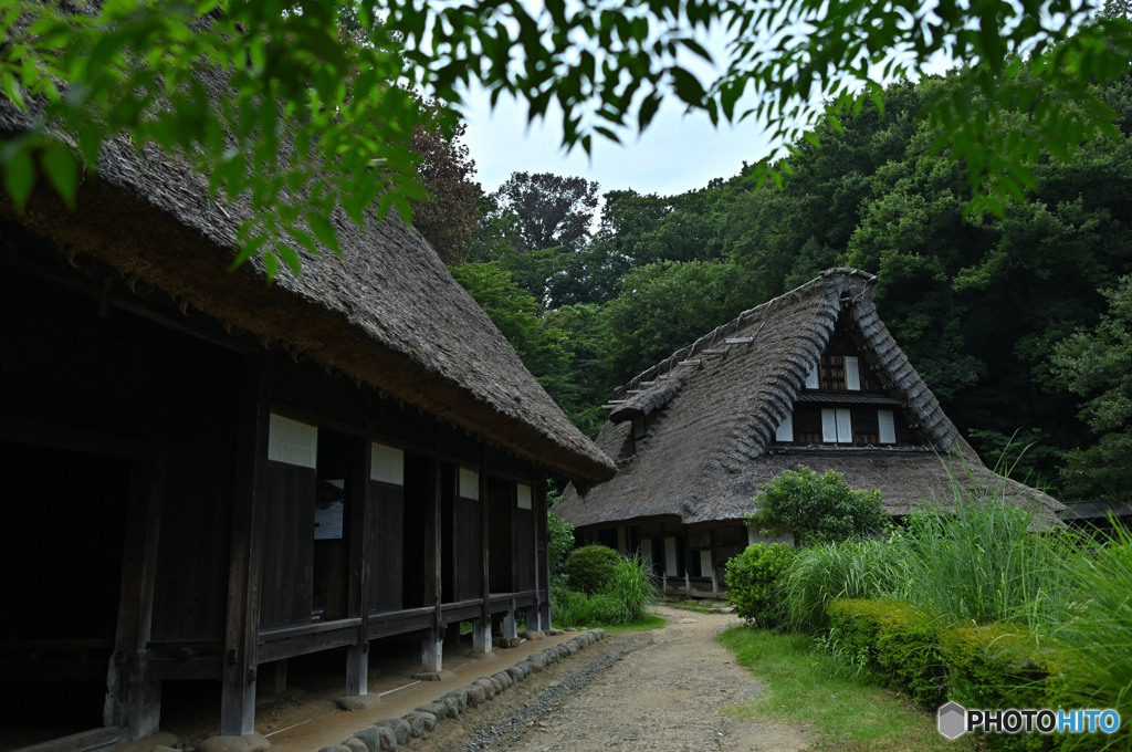 木陰は涼しかった五箇山