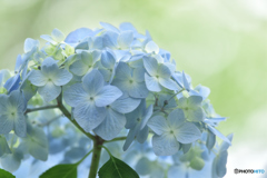 明日天気にな～れ！