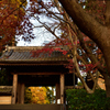 優しさが嬉しかった円覚寺
