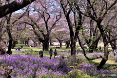 ホッとする和みの情景