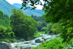 深緑の御岳渓谷