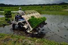 ”田植え方向転換”