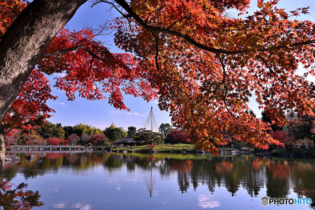 深紅の日本庭園