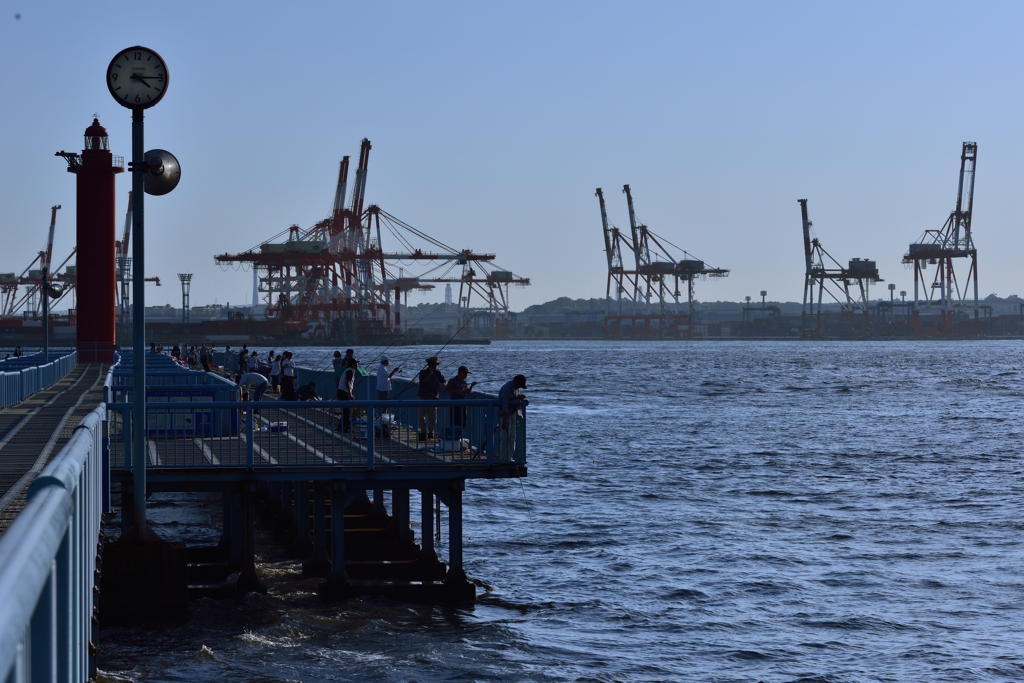 クレーンの釣り仲間！