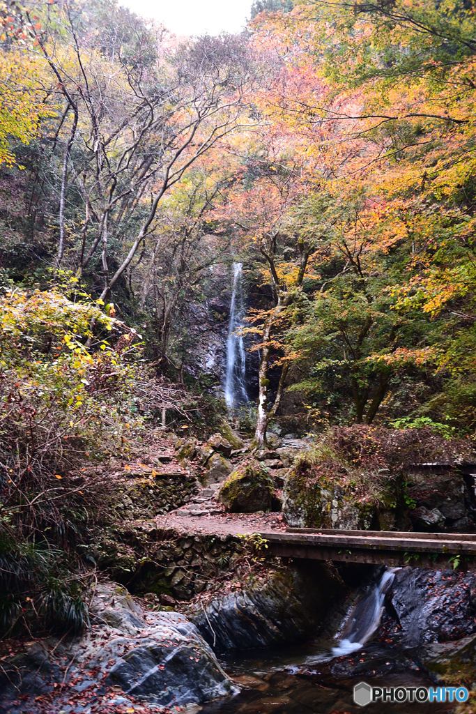 秋彩の払沢の滝