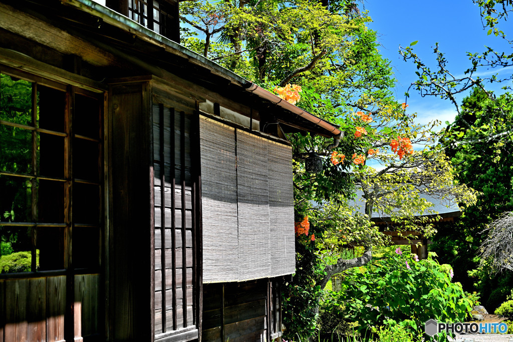まだ夏模様だった海蔵寺