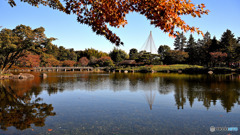 燃えだした日本庭園