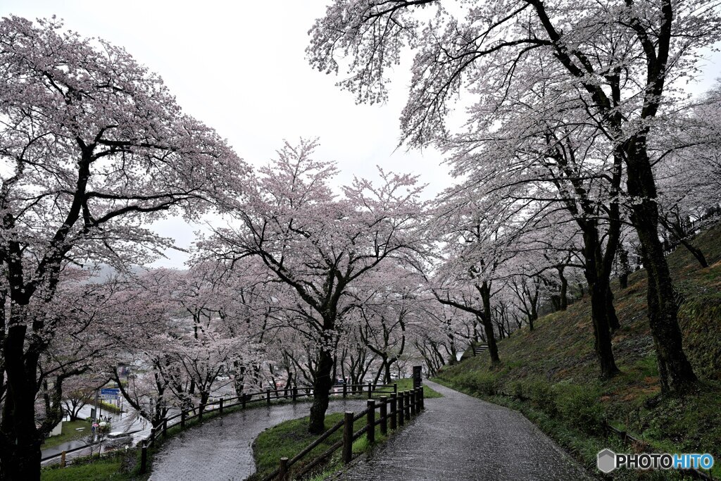 雨の城址公園Ⅱ