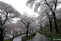 雨の城址公園Ⅱ