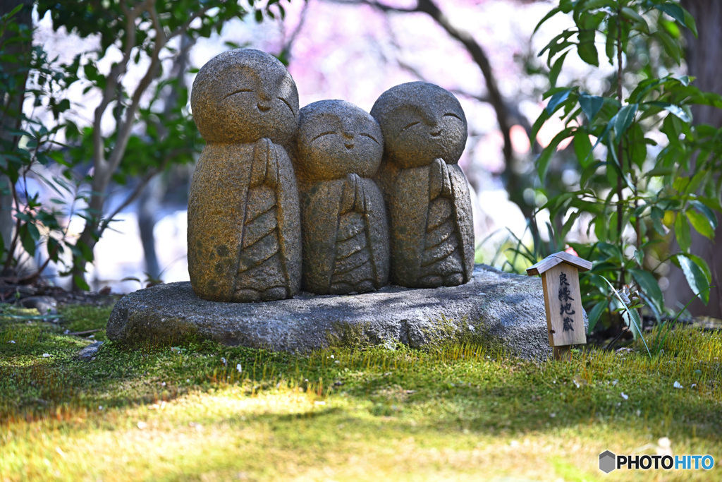 春はいいよね！