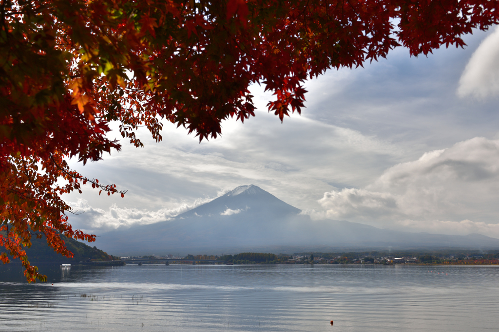 河口湖も紅葉Ⅱ