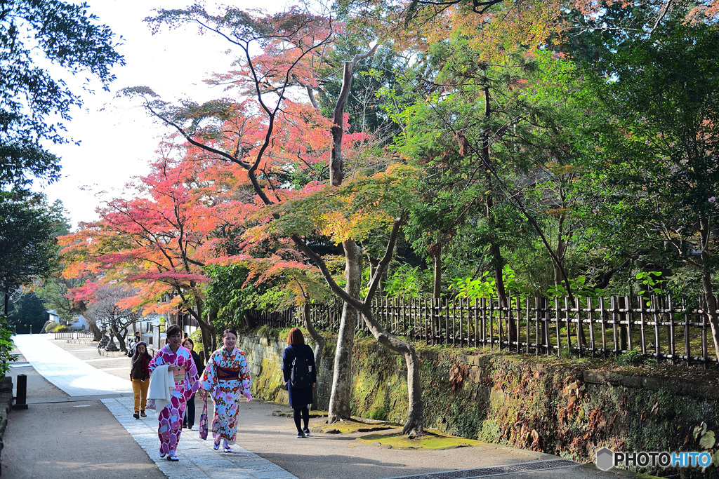 着物姿で紅葉狩り