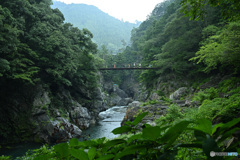 突然の雨に避難する家族