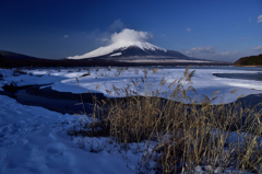 雪原は光のシンフォニー